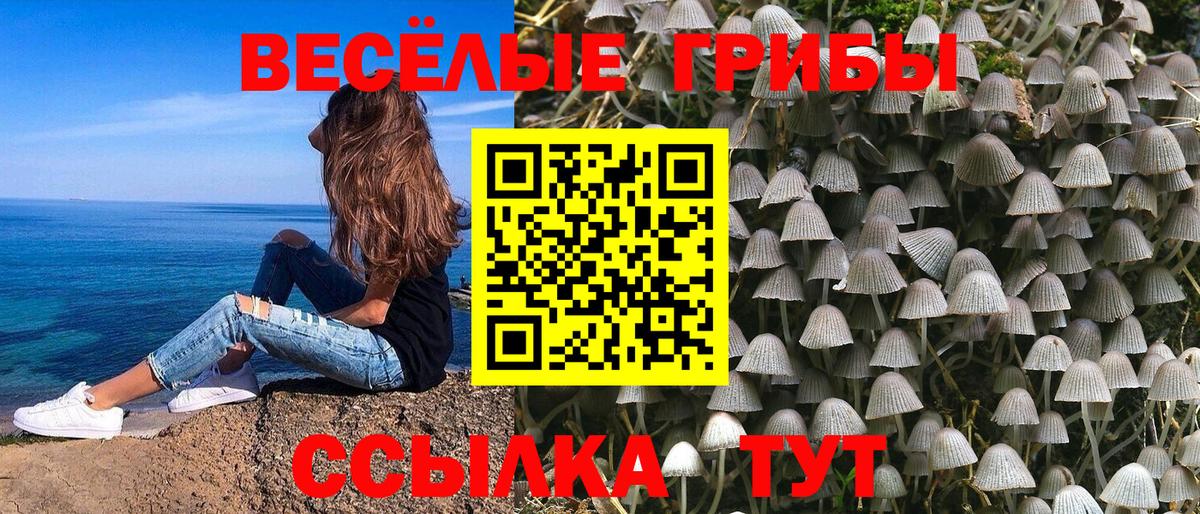Галлюциногенные грибы MAGIC MUSHROOMS Барабинск